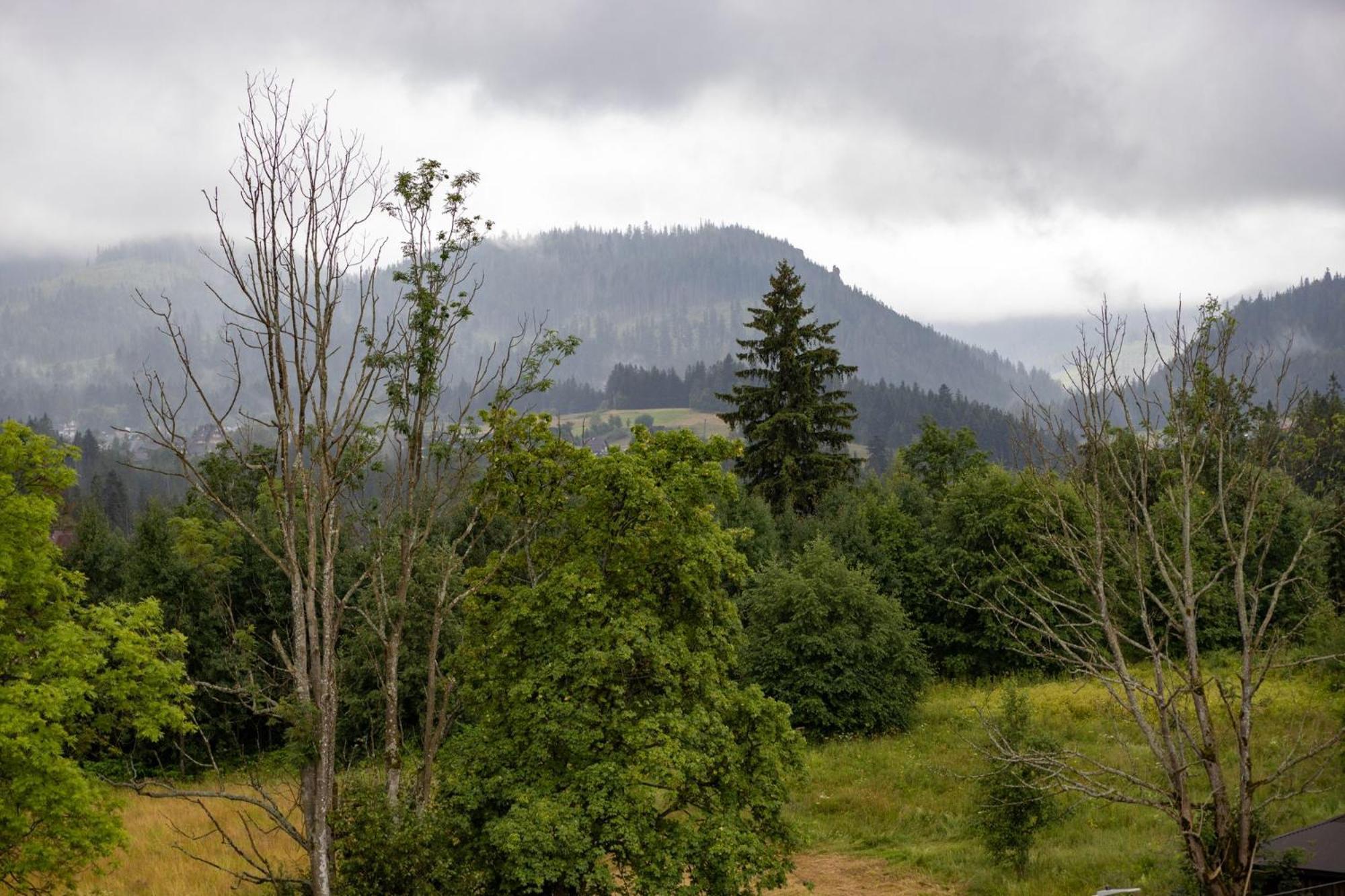 Hawran * Zakopane